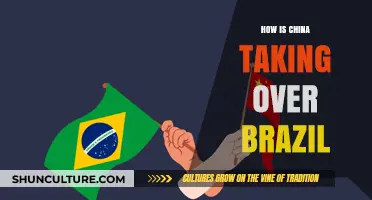 China's Growing Influence: How Beijing is Shaping Brazil's Future