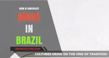 From Bean to Bar: Brazil's Chocolate-Making Process Explained
