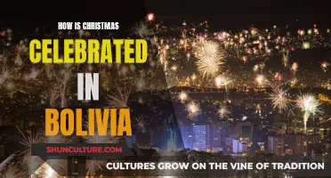 Christmas in Bolivia: Unique Traditions and Joyous Festivities