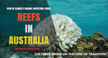 Climate Change: Australia's Coral Reefs in Danger