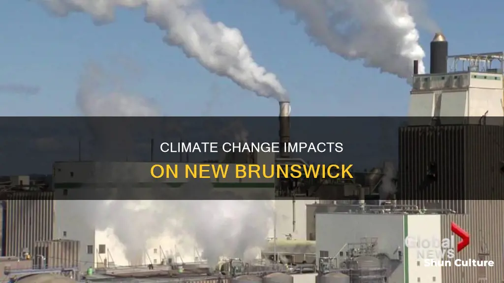 how is climate change affecting new brunswick