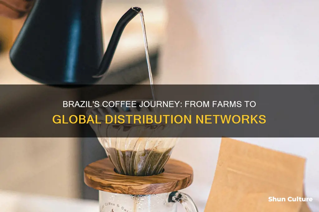 how is coffee distributed in brazil