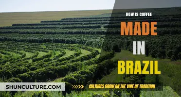 Exploring Brazil's Coffee Craft: From Bean to Brew