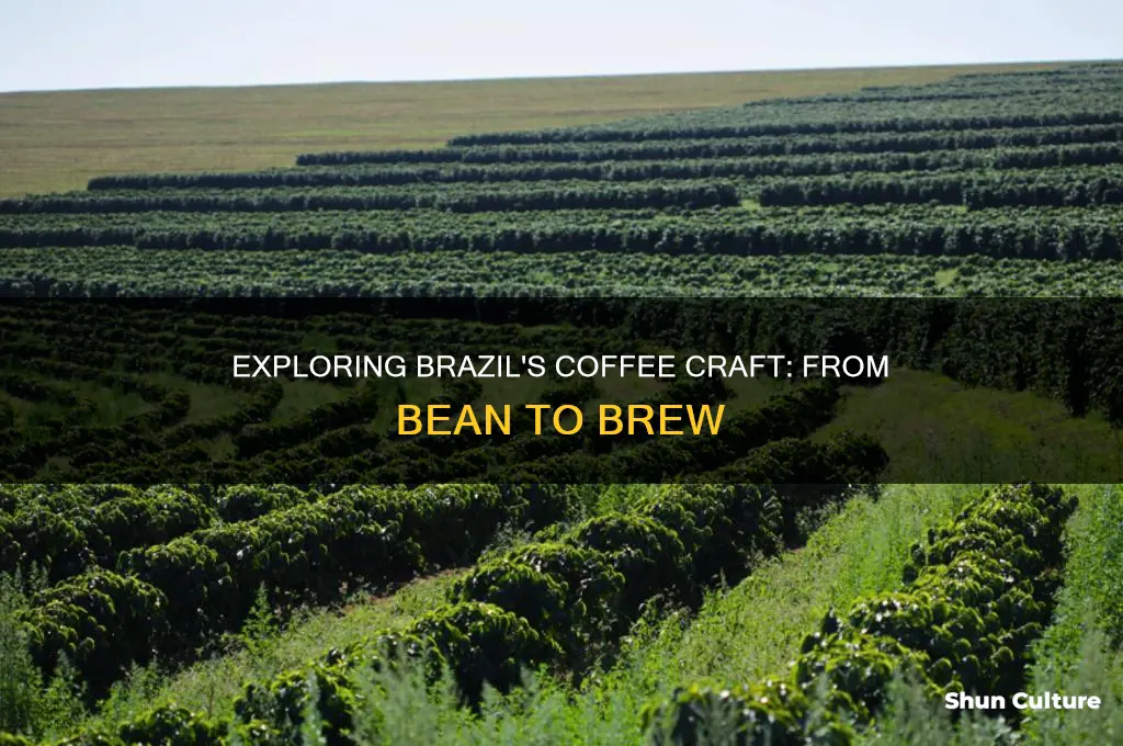 how is coffee made in brazil