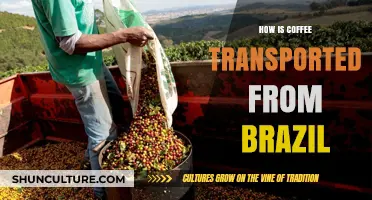 From Brazil to Your Cup: The Journey of Coffee Transportation