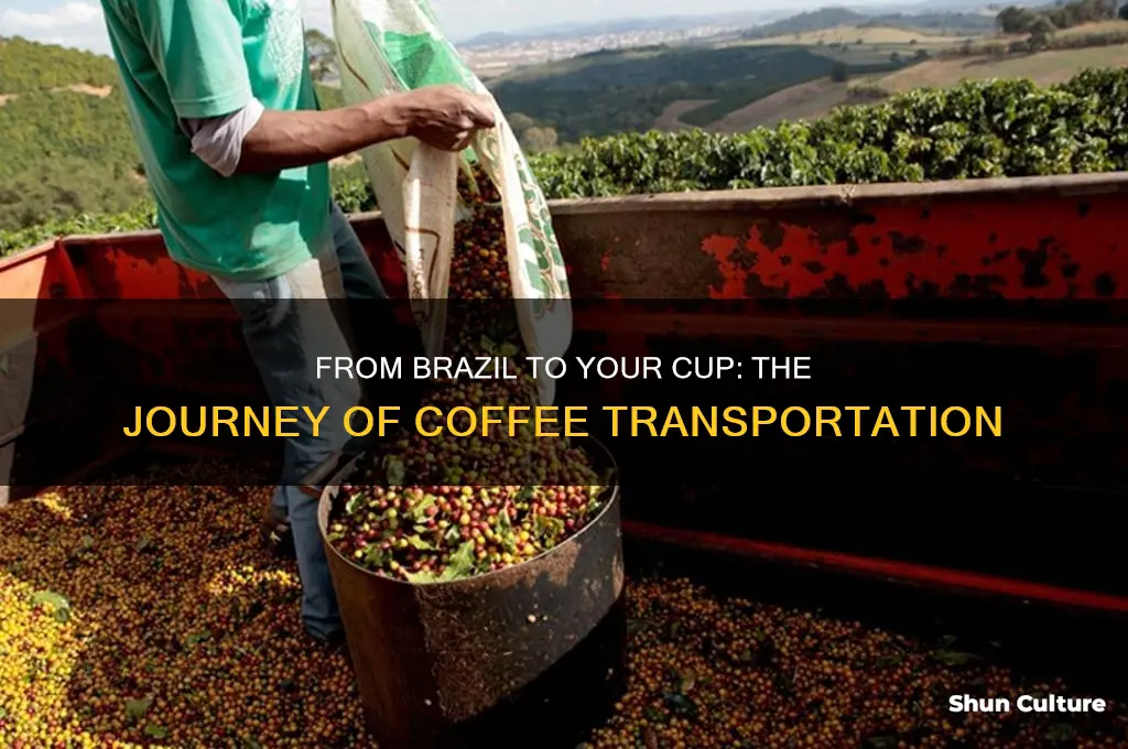 how is coffee transported from brazil