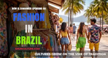 Brazil's Fashion Spending Trends: Insights into Consumer Behavior and Growth