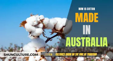 Australian Cotton: From Farm to Fabric