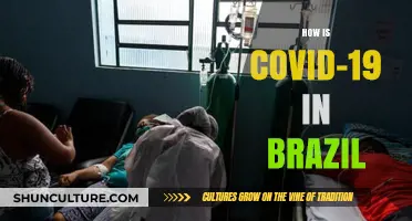Brazil's COVID-19 Battle: Current Status, Challenges, and Recovery Efforts