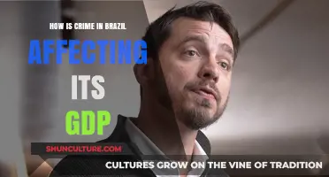 Crime’s Impact on Brazil’s GDP: Economic Consequences and Challenges