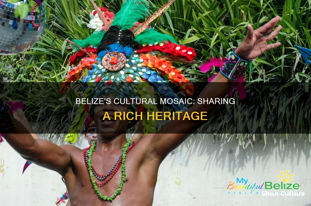 how is culture shared in belize