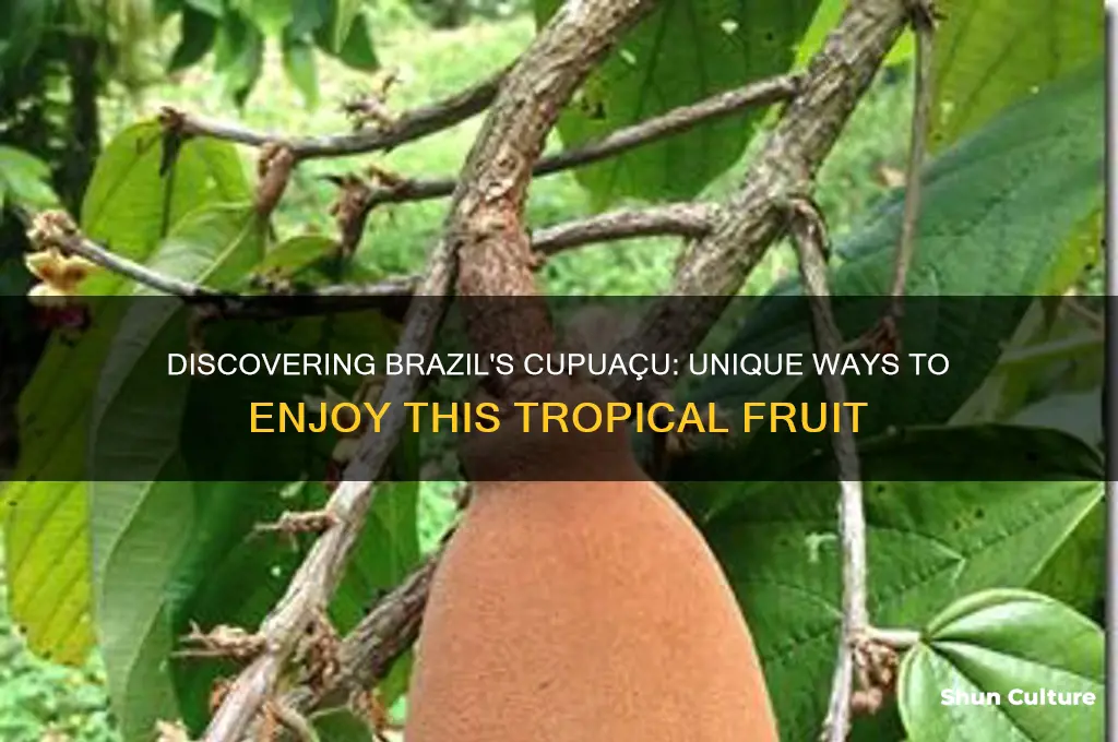 how is cupuaco eaten in brazil