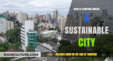 Curitiba's Green Revolution: Unveiling Brazil's Sustainable Urban Success Story