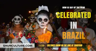 Brazil's Unique Day of the Dead Traditions and Celebrations Explained
