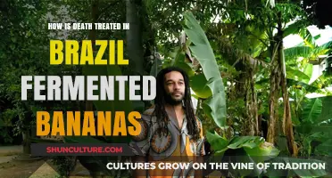 Brazil's Fermented Banana Rituals: Exploring Death's Cultural Significance