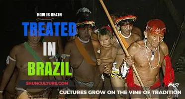 Brazil's Cultural Approach to Death: Rituals, Beliefs, and Traditions Explored
