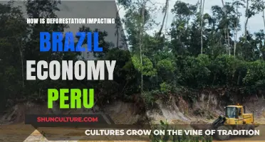 Deforestation's Economic Toll: Brazil and Peru's Struggles and Solutions