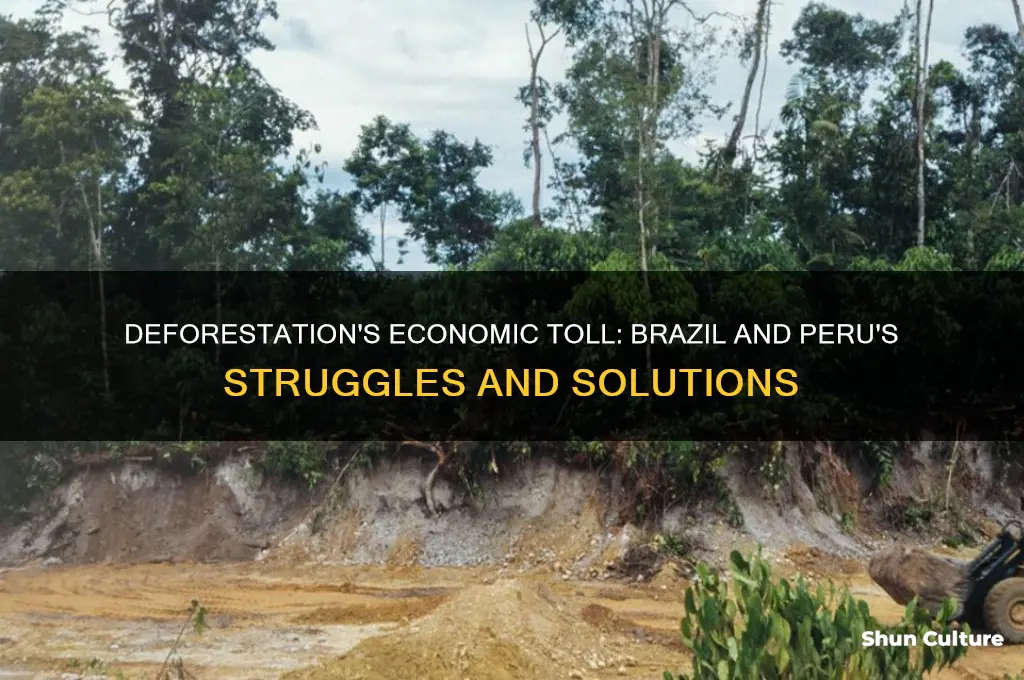 how is deforestation impacting brazil economy peru