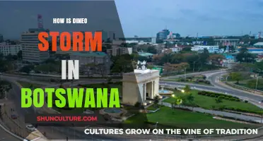 Dineo Storm's Impact: Unraveling Botswana's Weather Crisis and Aftermath