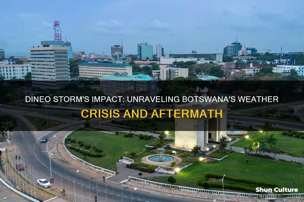 how is dineo storm in botswana