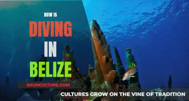 Belize's Underwater Paradise: A Diver's Dream