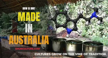 DMT Synthesis in Australia: A Comprehensive Guide