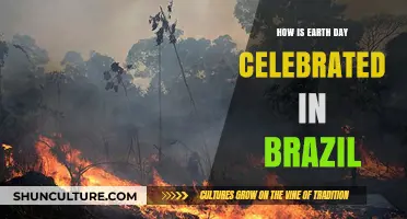 Celebrating Earth Day in Brazil: Traditions, Events, and Environmental Initiatives