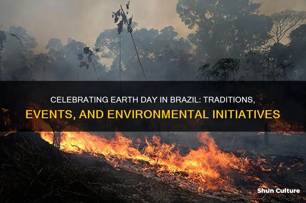 how is earth day celebrated in brazil