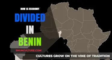 Exploring Benin's Economic Divide: A Comprehensive Overview