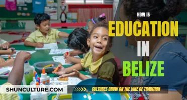 Belize's Education System: A Unique Blend of Influences and Challenges