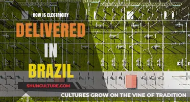 Brazil's Power Grid: How Electricity is Delivered Nationwide