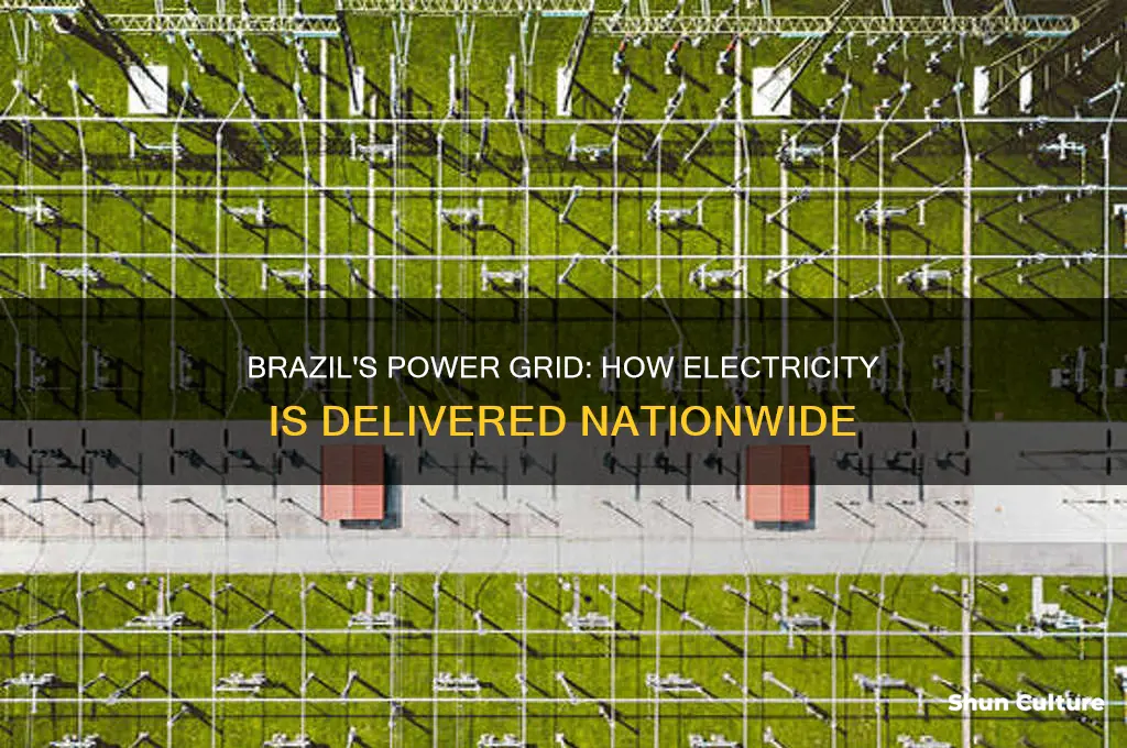 how is electricity delivered in brazil