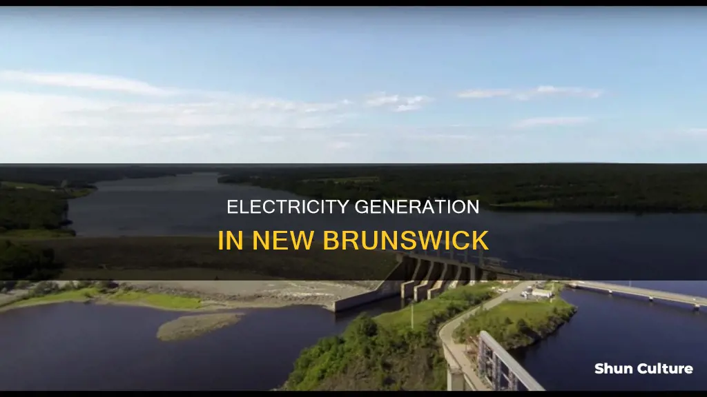 how is electricity generated in new brunswick