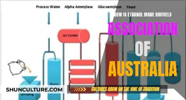 Ethanol Production: Biofuels Association of Australia