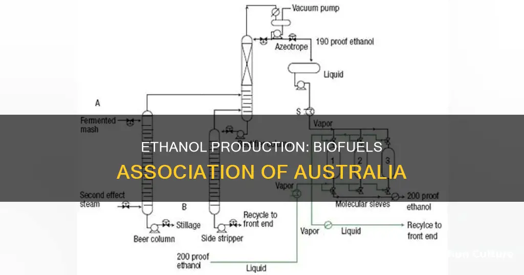 how is ethanol made biofuels association of australia