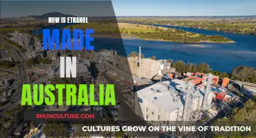 Ethanol Production in Australia: The Process Explained