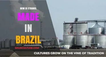 Brazil's Ethanol Production: Sugarcane to Fuel Process Explained