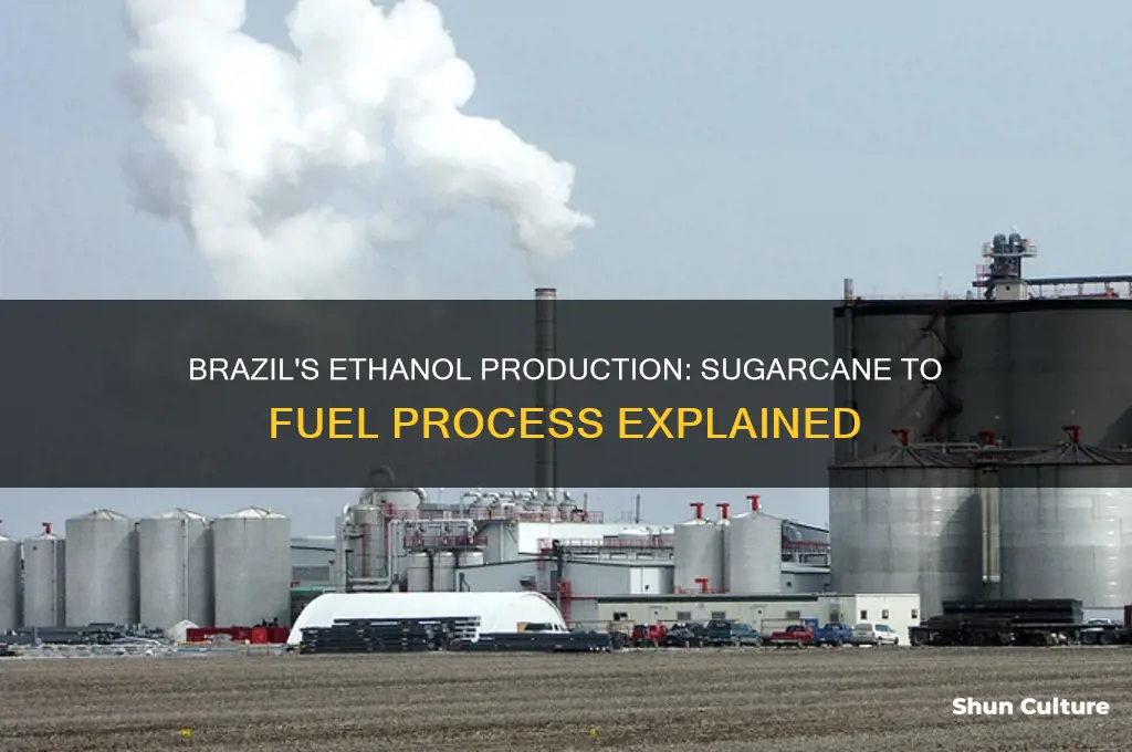 how is ethanol made in brazil
