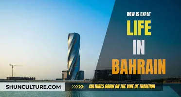 Expat Life in Bahrain: A Comprehensive Guide