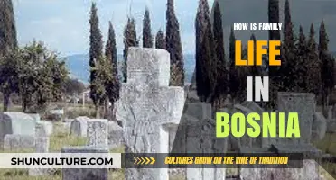 Exploring Bosnia's Family Life: Traditions, Challenges, and Modern Dynamics