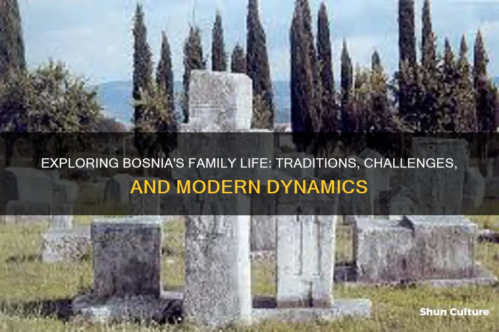 how is family life in bosnia