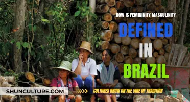 Exploring Brazil's Gender Dynamics: Femininity and Masculinity Redefined