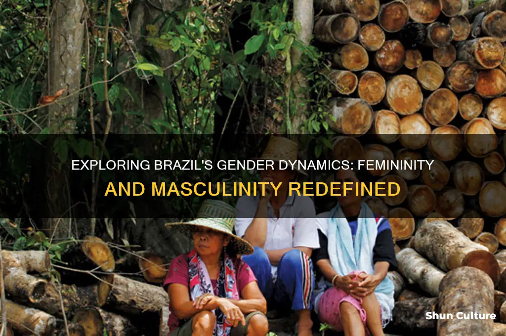 how is femininity masculinity defined in brazil