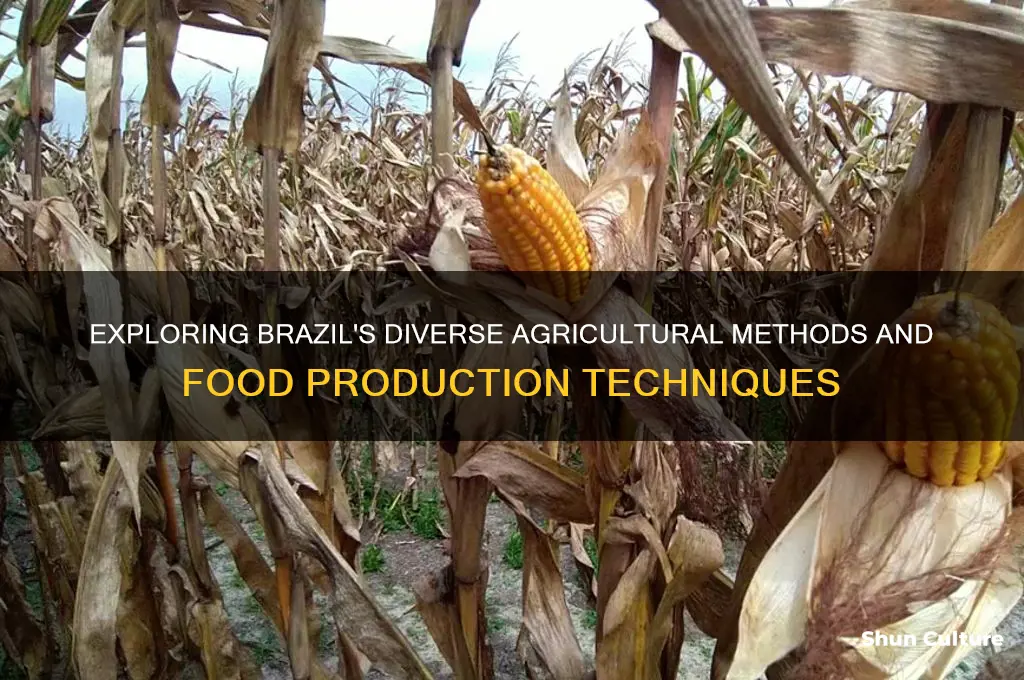 how is food in brazil grown
