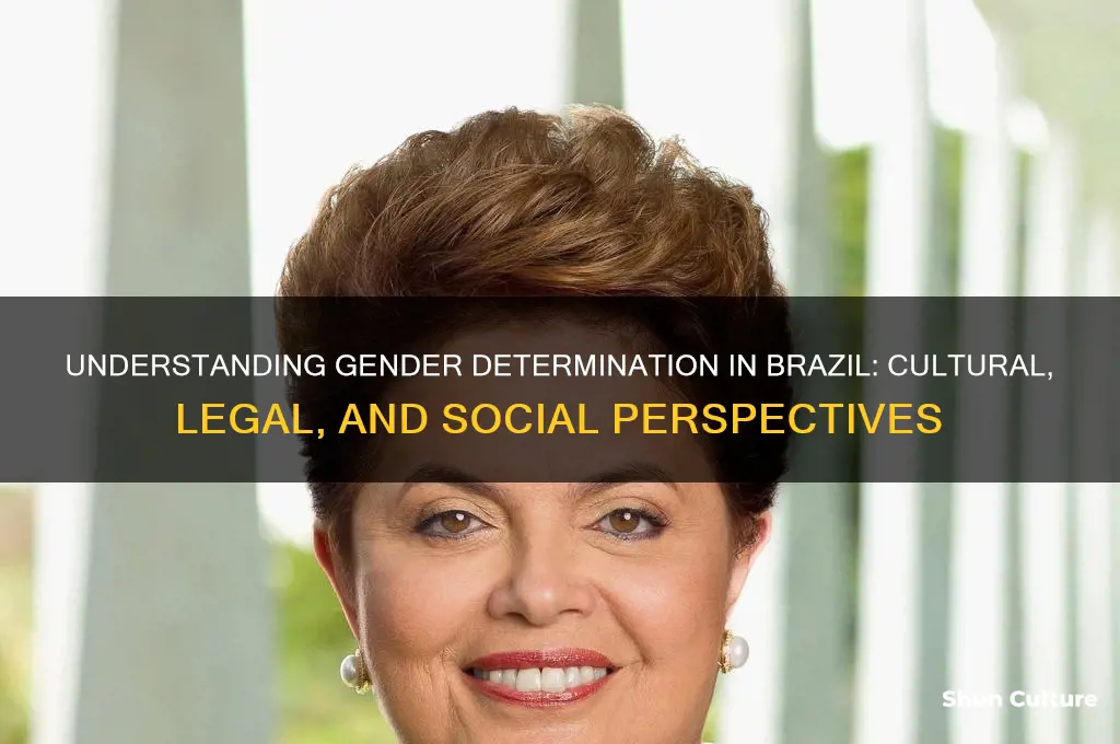 how is gender determined in brazil