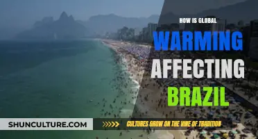 Brazil's Climate Crisis: Global Warming's Devastating Impacts and Consequences