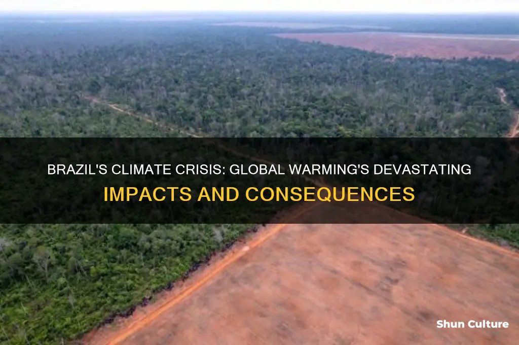 how is global warming affecting brazil