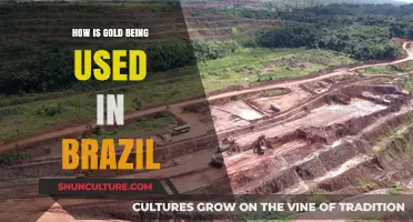 Brazil's Gold Rush: Modern Uses and Economic Impact Revealed