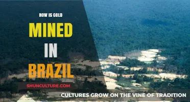 Exploring Brazil's Gold Mining Techniques: Processes, Challenges, and Environmental Impact