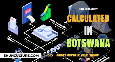 Understanding Gratuity Calculation in Botswana: A Comprehensive Guide for Employees
